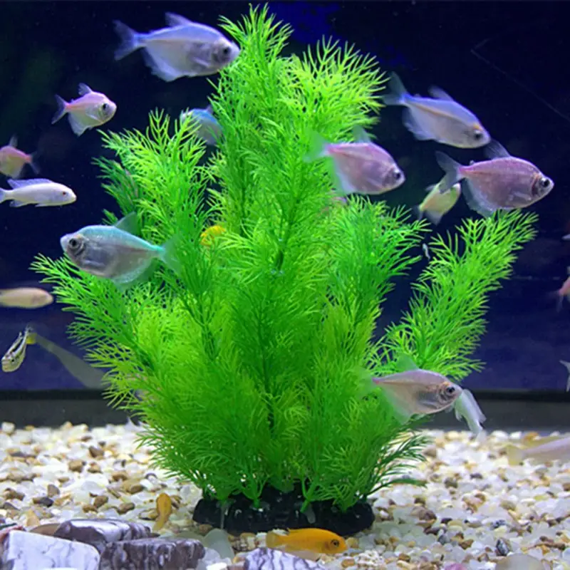 Aquarium Fish Games - نباتات ديكور حوض السمك الاصطناعية تحت