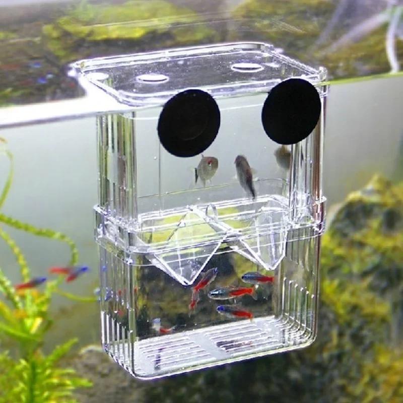 Aquarium Fish Cave - حوض السمك الشفاف، صندوق عزل تربية