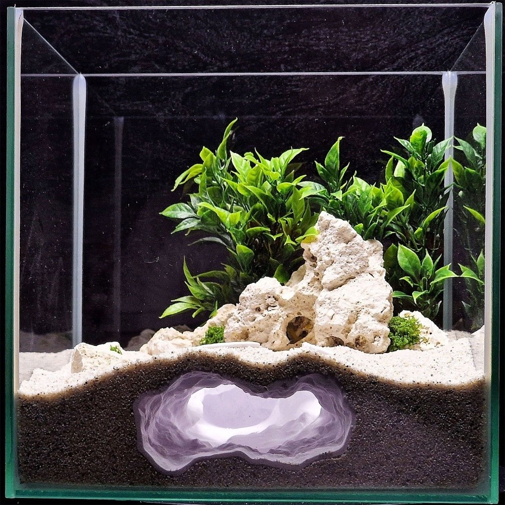 Aquarium Fish Cave - حوض أسماك محاكي للواقع بدرجة عالية،