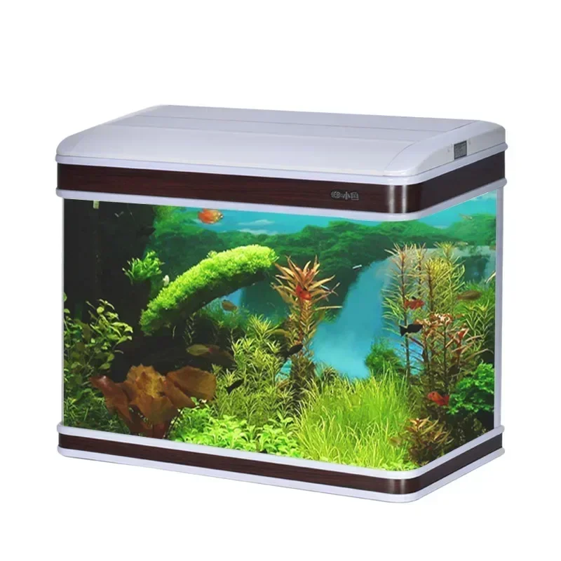 Aquarium Fish Supplier - المهنية حوض السمك المورد حوض السمك