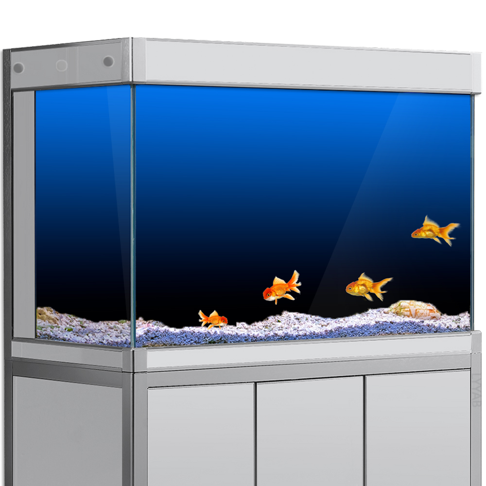 Aquarium Fish Black - ملصق خلفية لخزان الأسماك أسود أخضر