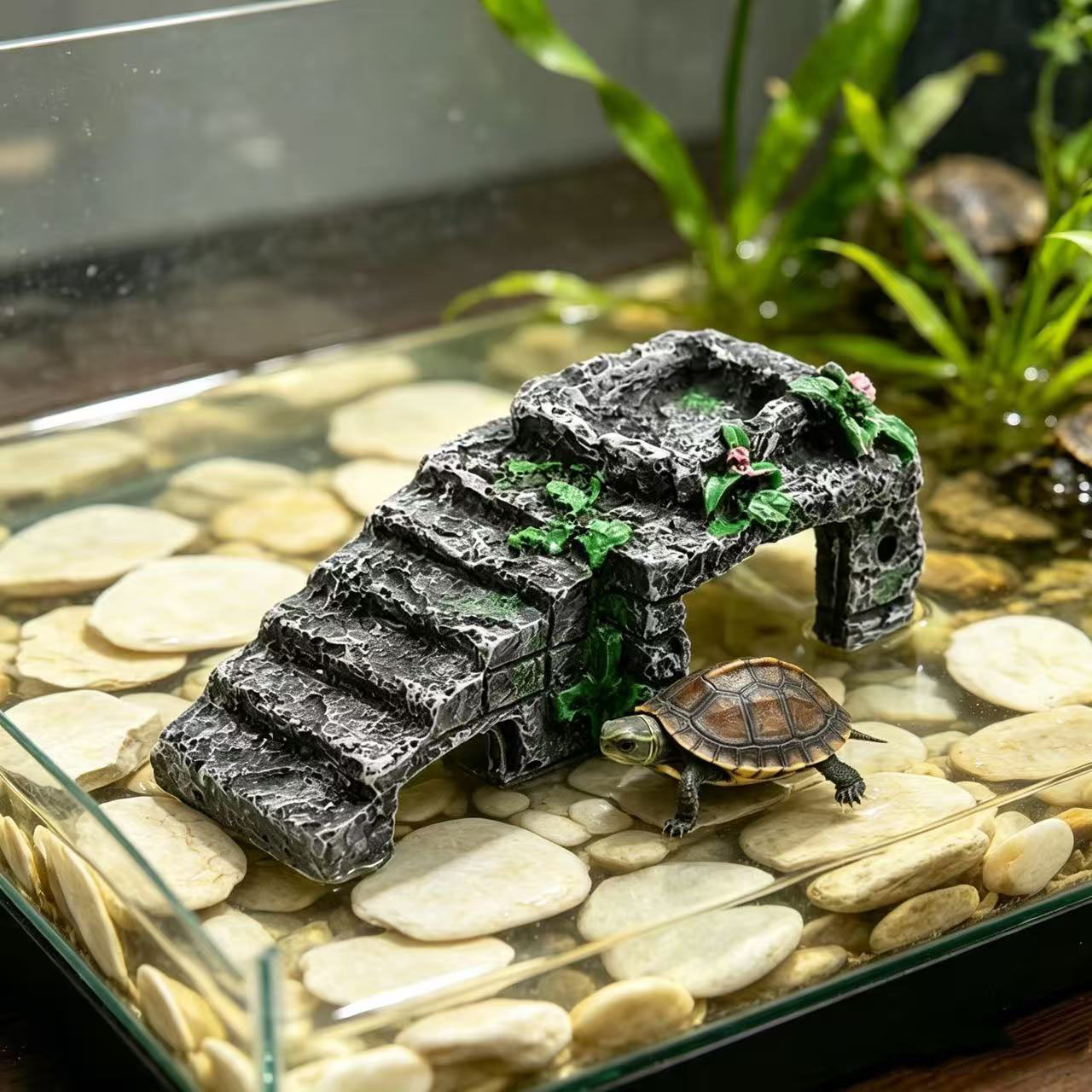 Aquarium Fish Cave - غُرْفَة إخفاء للزواحف ومنصة تسلق وحمام