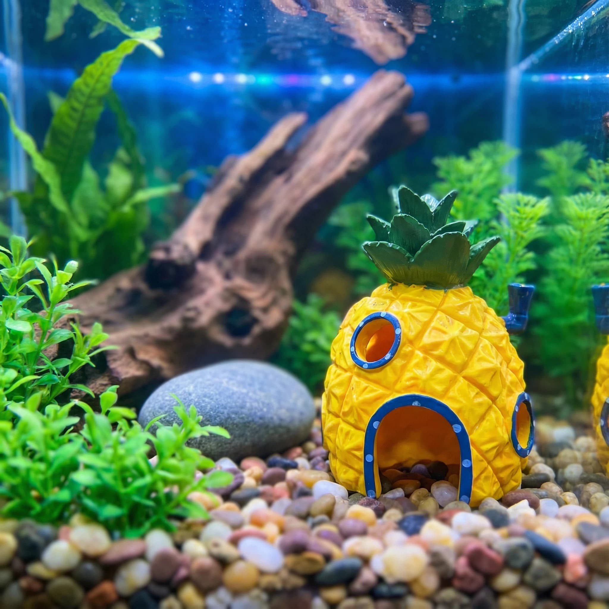 Aquarium Fish Games - ديكور حوض السمك على شكل بيت