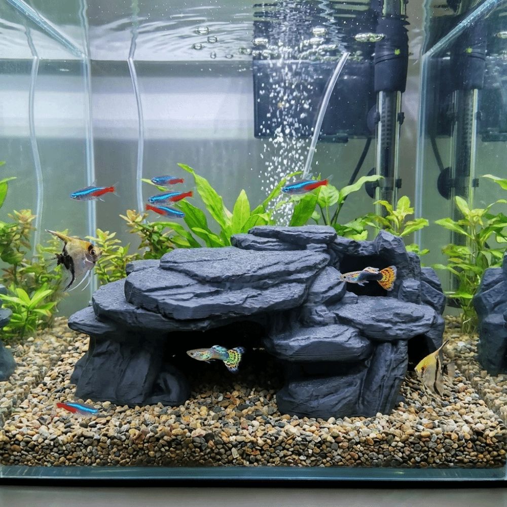 زينة صخرية ثلاثية الأبعاد لأحو - مراجعة Aquarium Fish Games وسعره