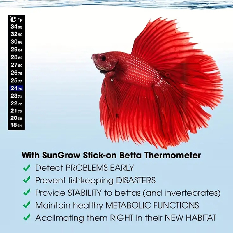 ميزان الحرارة الرقمي لحوض السم - مراجعة Aquarium Thermometer وسعره