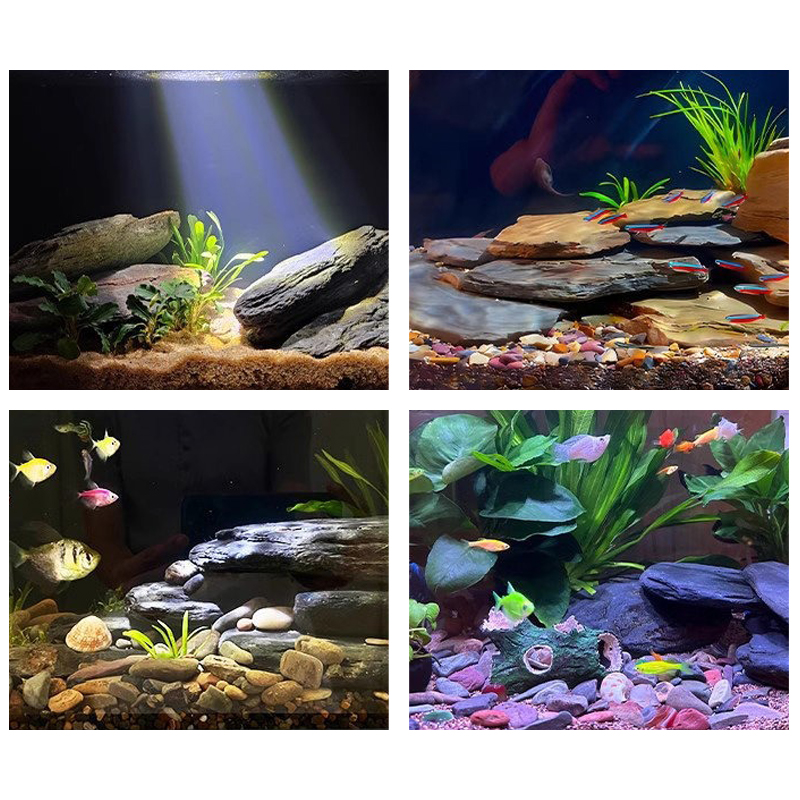 مجموعة أحجار تنسيق أحواض السمك - مراجعة Aquarium Fish Farm وسعره