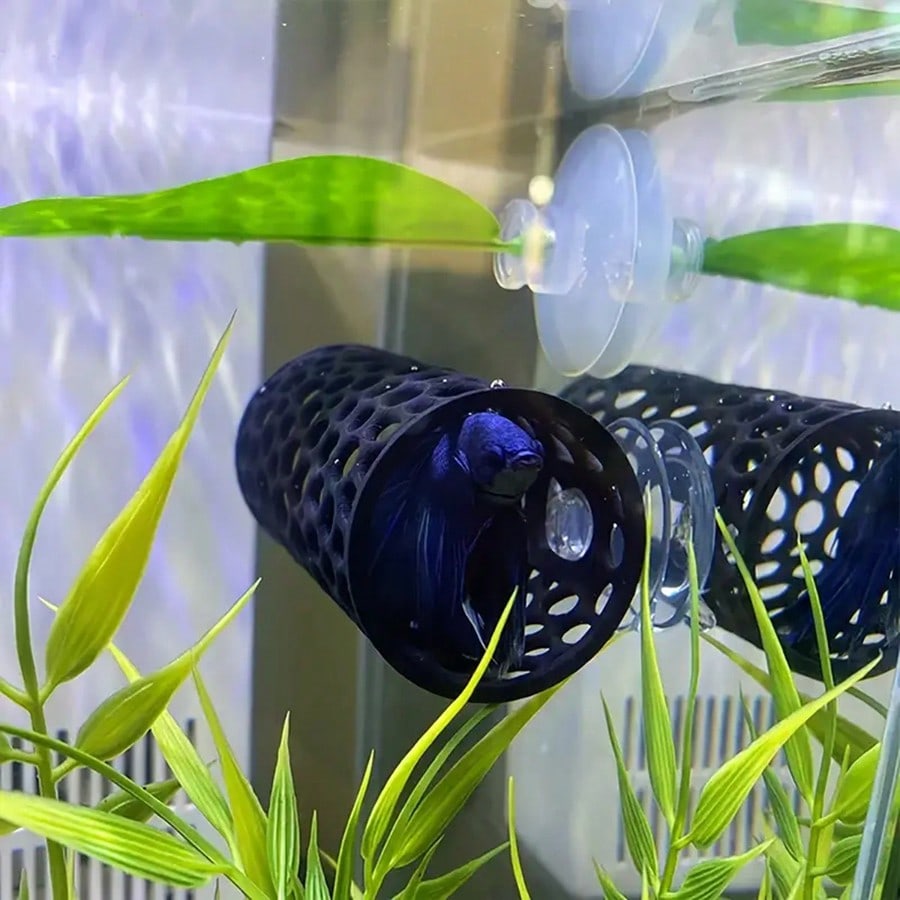 مخبأ أسماك حوض السمك أنبوب مجو - مراجعة Aquarium Fish Games وسعره