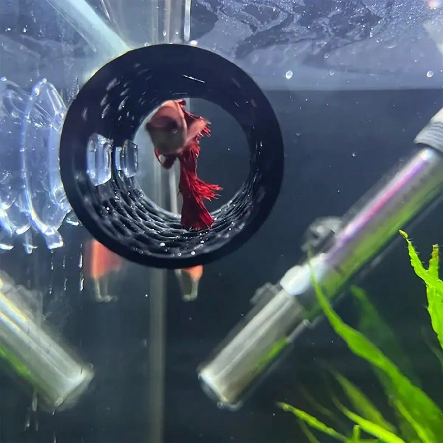 مخبأ أسماك حوض السمك أنبوب مجو - مراجعة Aquarium Fish Games وسعره