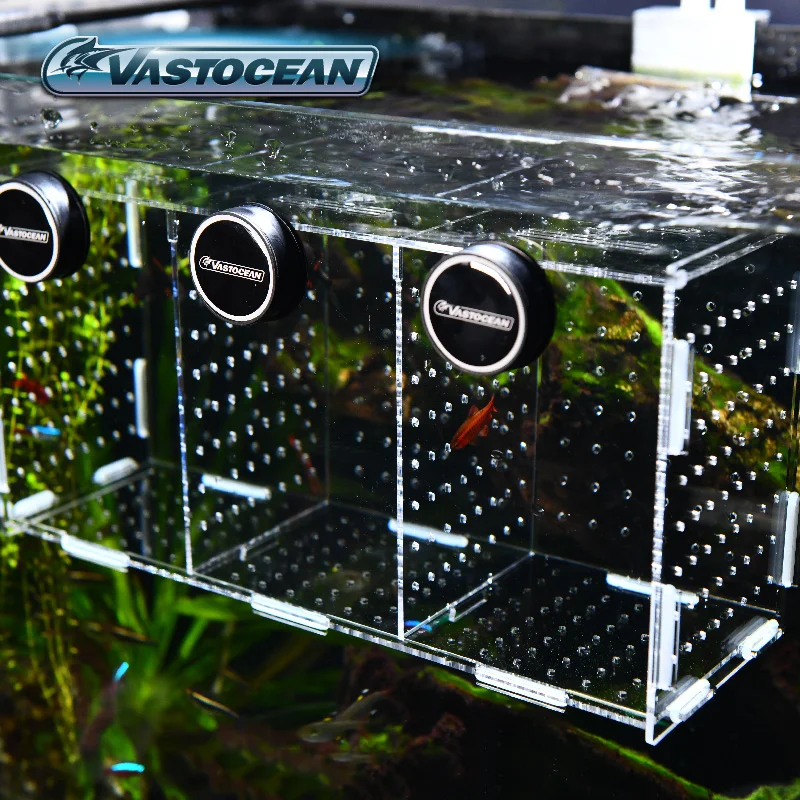 VASTOCEAN خزان الأسماك المغناط - مراجعة Aquarium Fish Cave وسعره