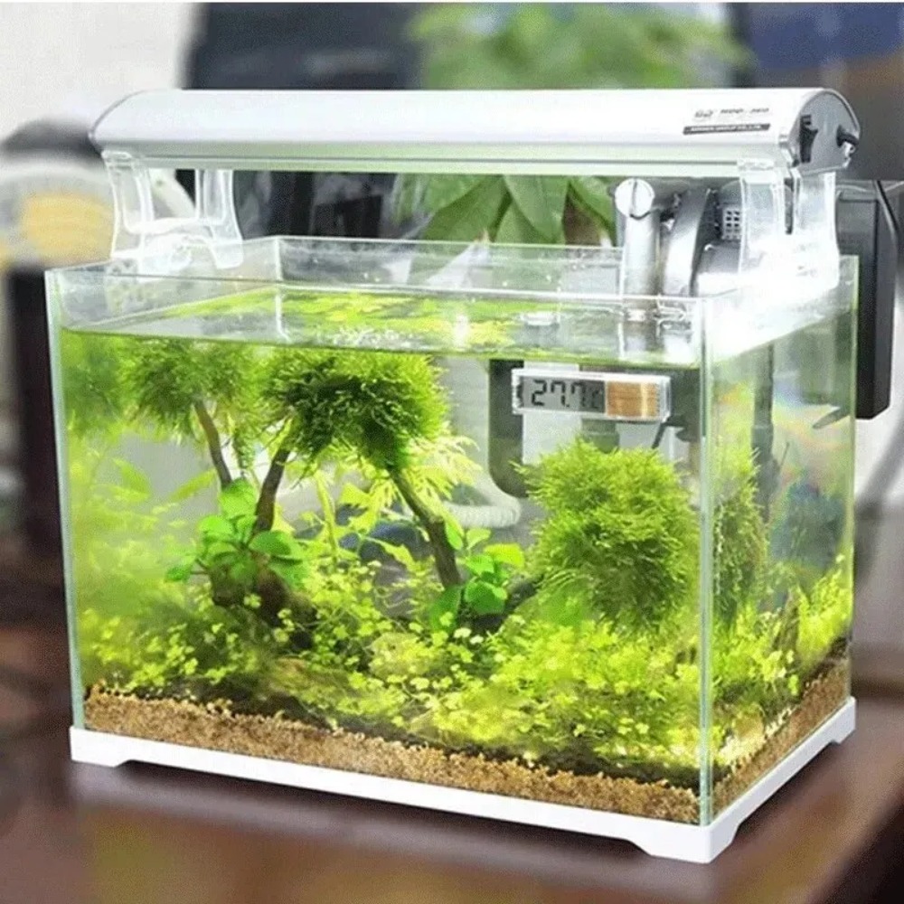 1 قطعة ميزان حرارة حوض السمك ا - مراجعة Aquarium Thermometer وسعره