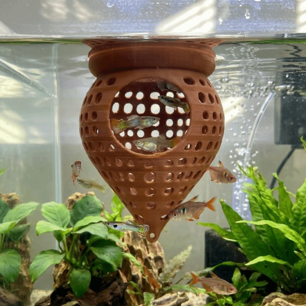 أرجوحة عائمة ثلاثية الأبعاد لل - مراجعة Aquarium Fish Cave وسعره