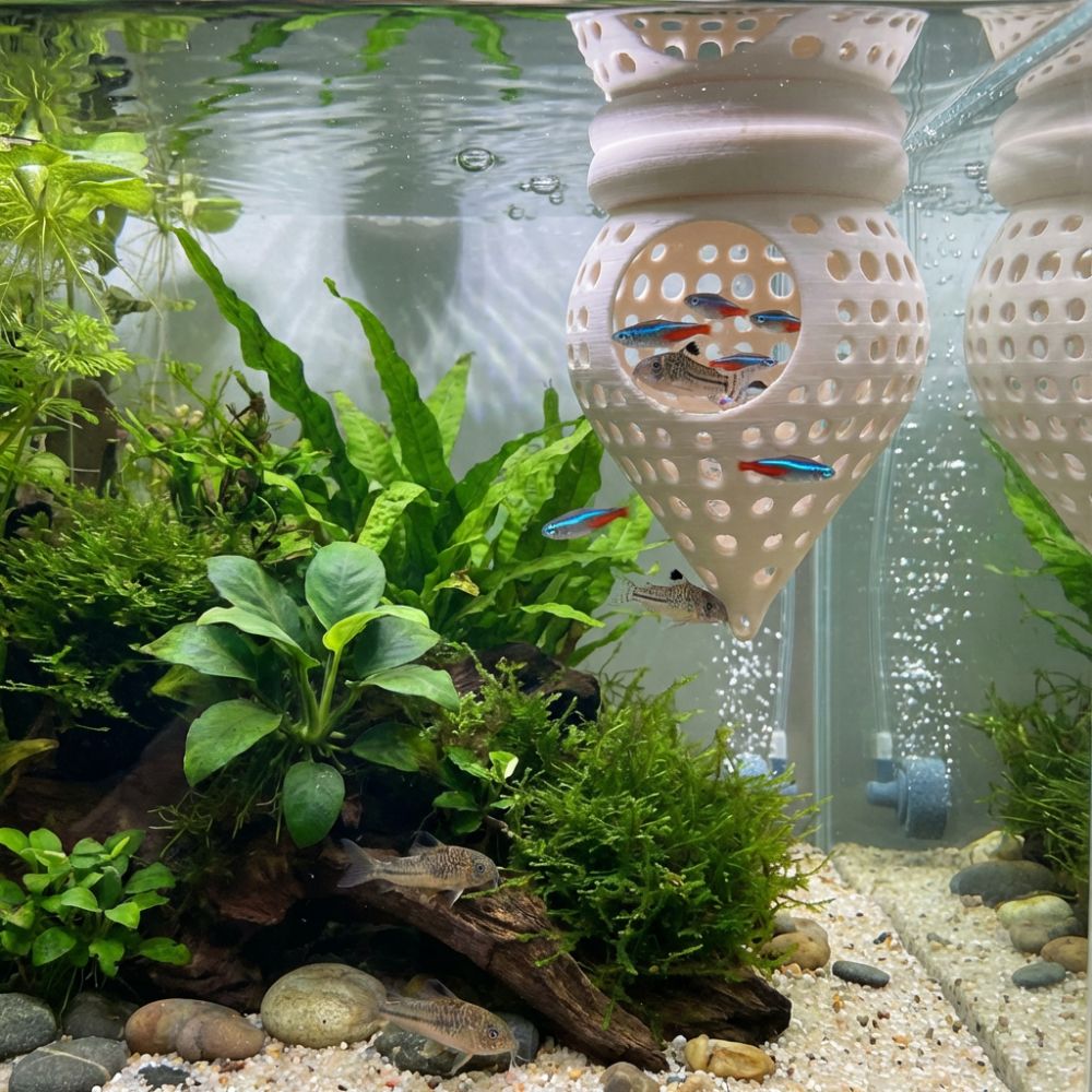 أرجوحة عائمة ثلاثية الأبعاد لل - مراجعة Aquarium Fish Cave وسعره