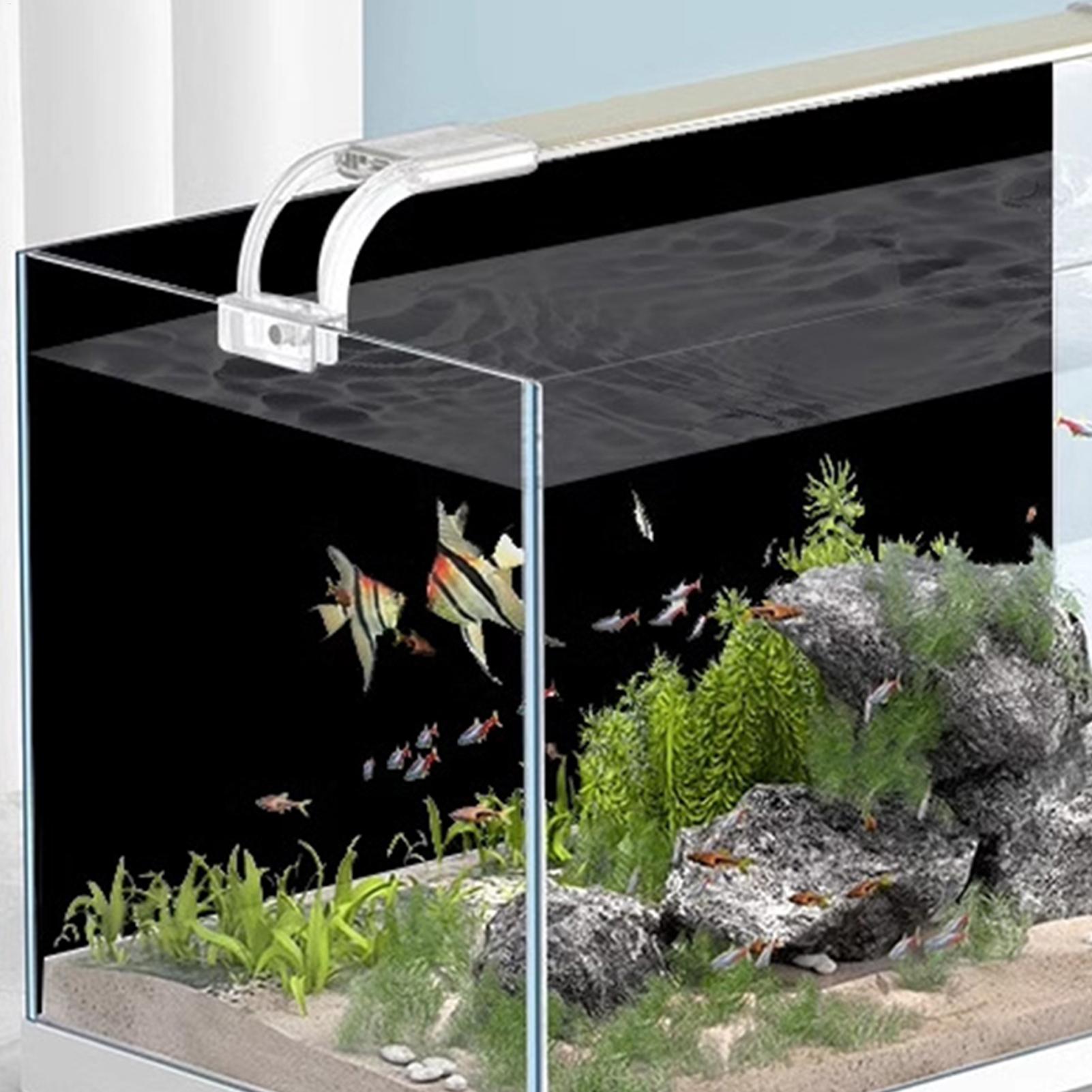 خلفية حوض السمك السوداء من الب - مراجعة Aquarium Fish Black وسعره
