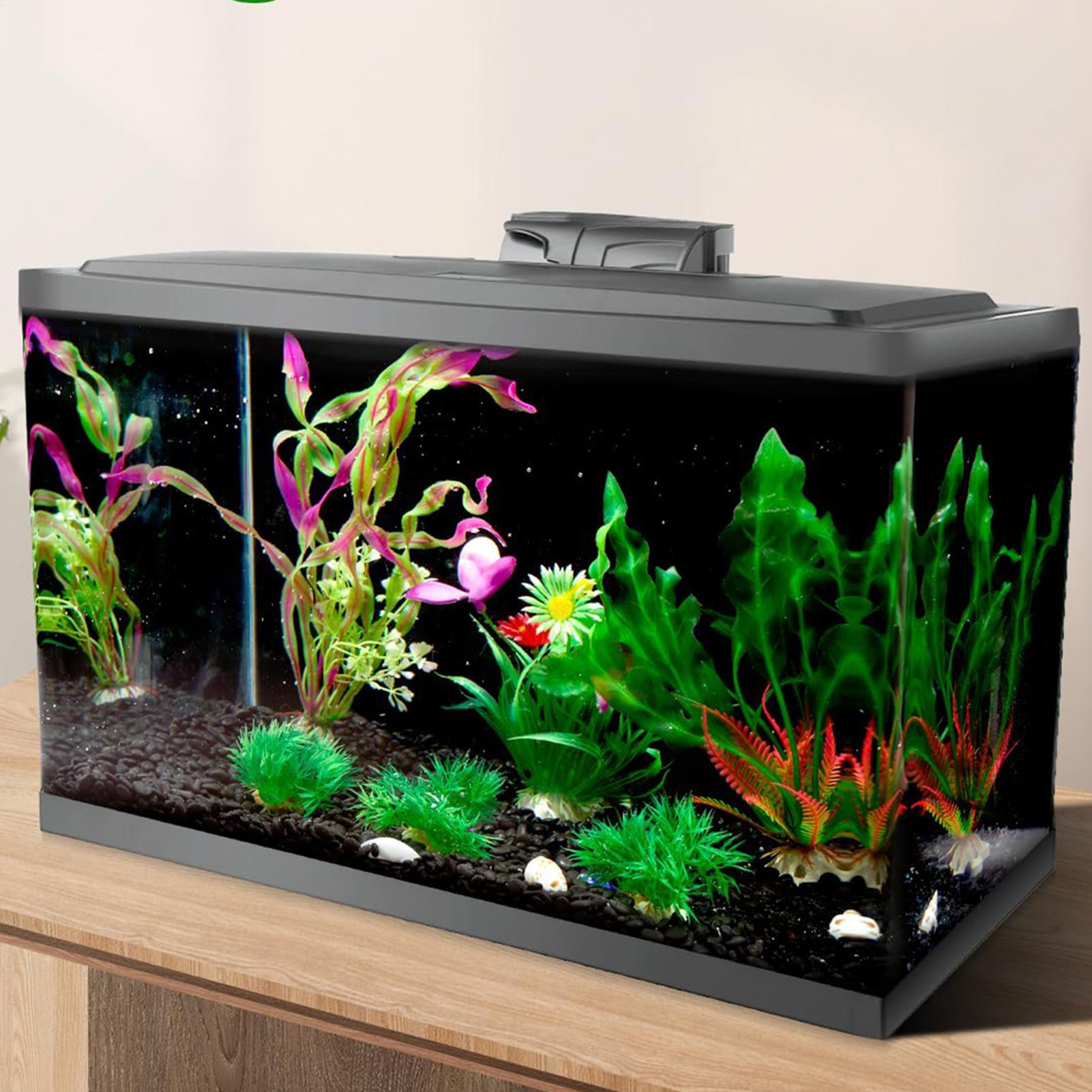 خلفية حوض السمك السوداء من الب - مراجعة Aquarium Fish Black وسعره