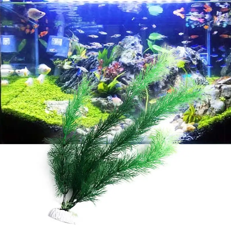 نباتات ديكور حوض السمك الاصطنا - مراجعة Aquarium Fish Games وسعره