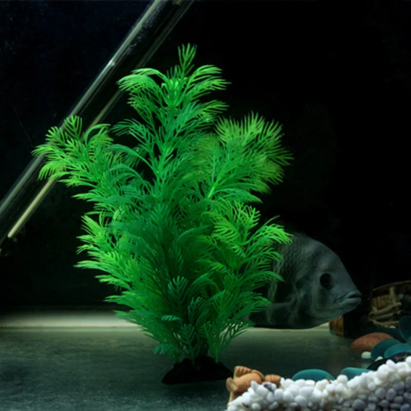 نباتات ديكور حوض السمك الاصطنا - مراجعة Aquarium Fish Games وسعره