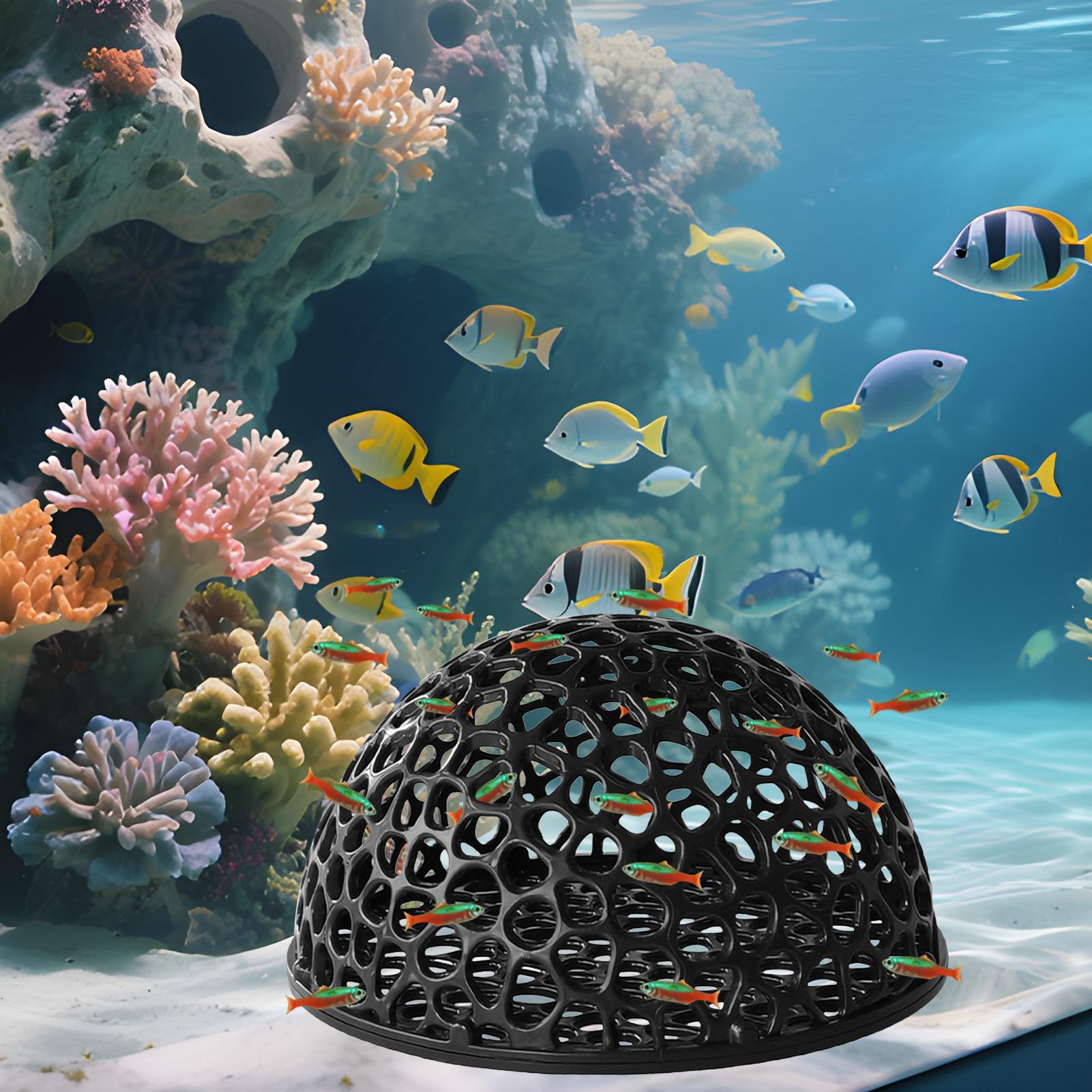 مأوى كهف مخفي لحوض السمك لتربي - مراجعة Aquarium Fish Games وسعره