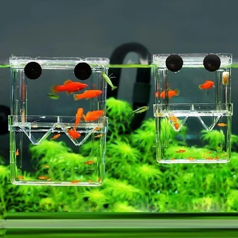حوض السمك الشفاف، صندوق عزل تر - مراجعة Aquarium Fish Cave وسعره
