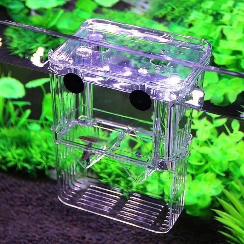 حوض السمك الشفاف، صندوق عزل تر - مراجعة Aquarium Fish Cave وسعره