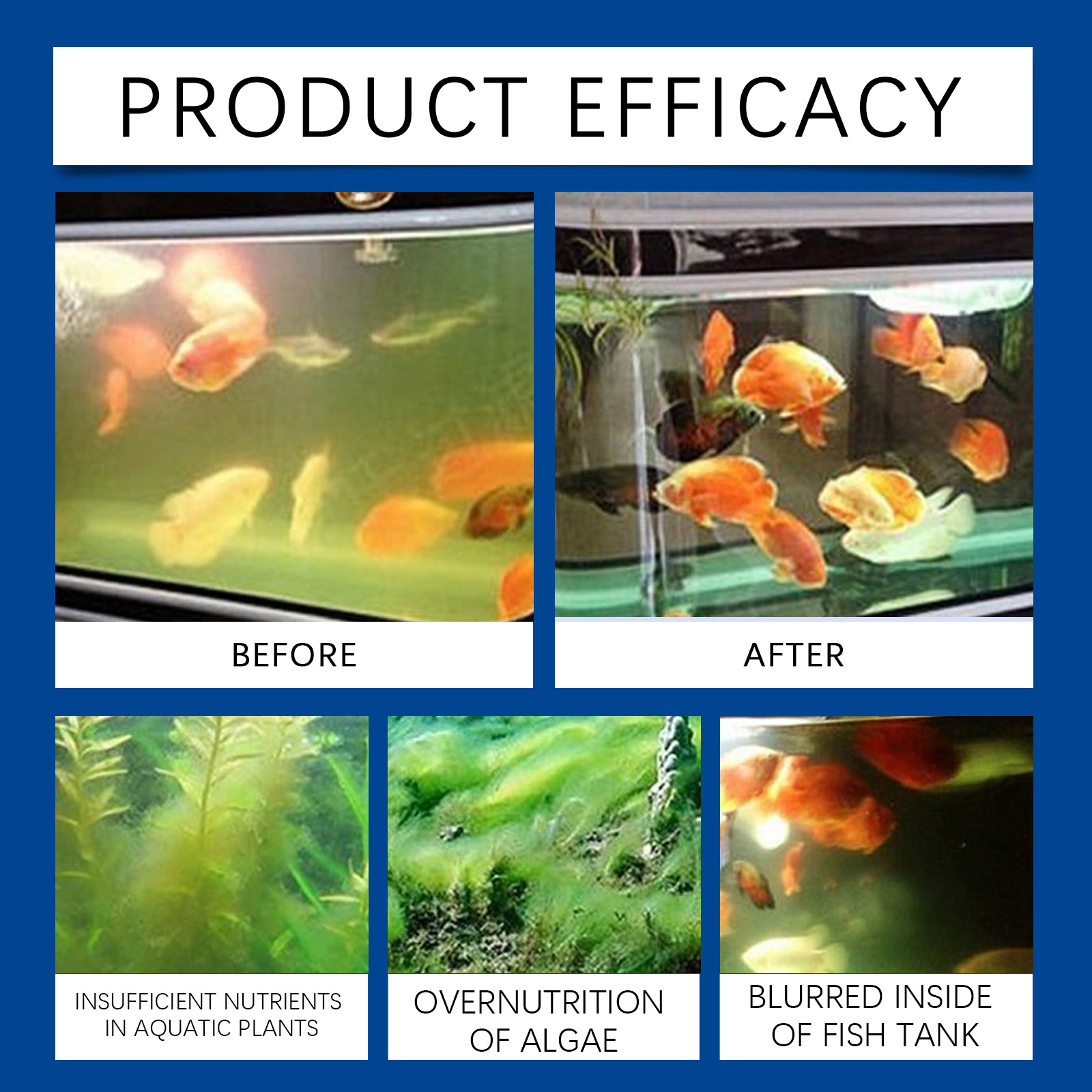 حوض السمك المياه توضيح 100 ملل - مراجعة Aquarium Fish Breeding وسعره