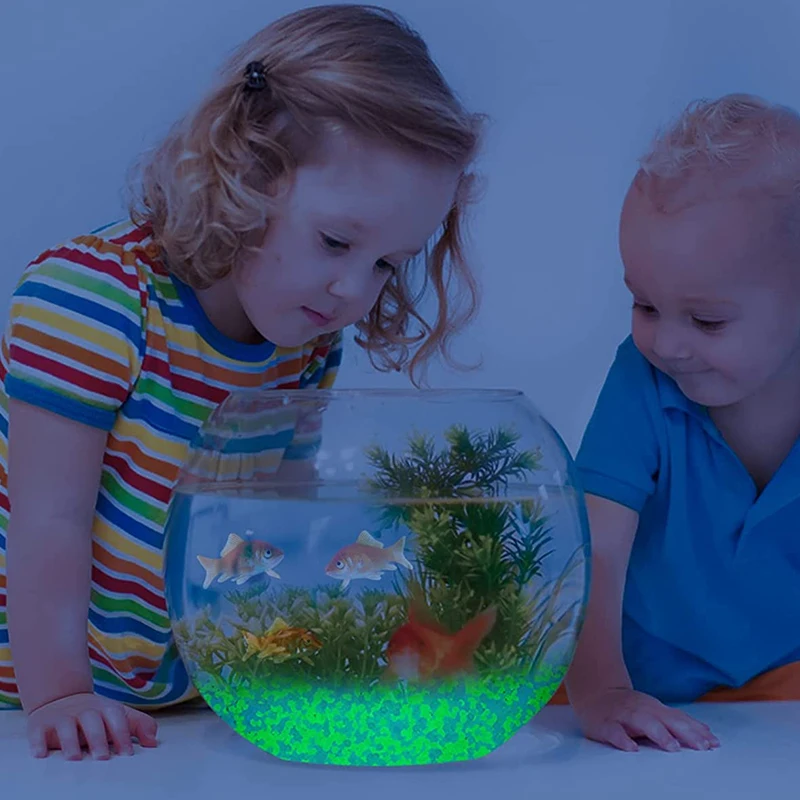 حصى رمال مضيئة في الظلام ، من  - مراجعة Aquarium Fish Breeding وسعره