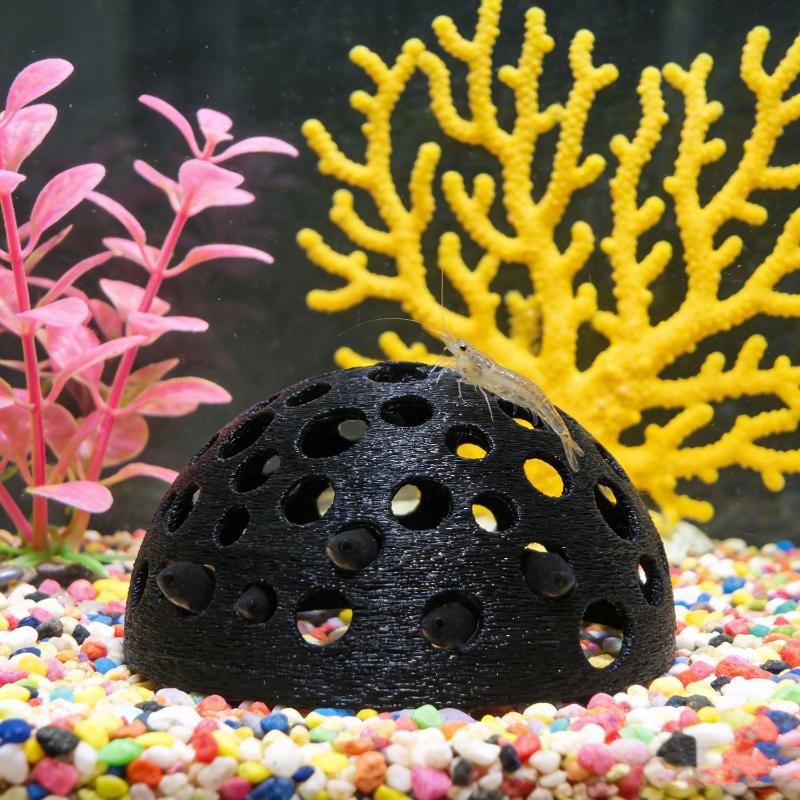 غرفة مخفية لحوض السمك للأسماك  - مراجعة Aquarium Fish Games وسعره