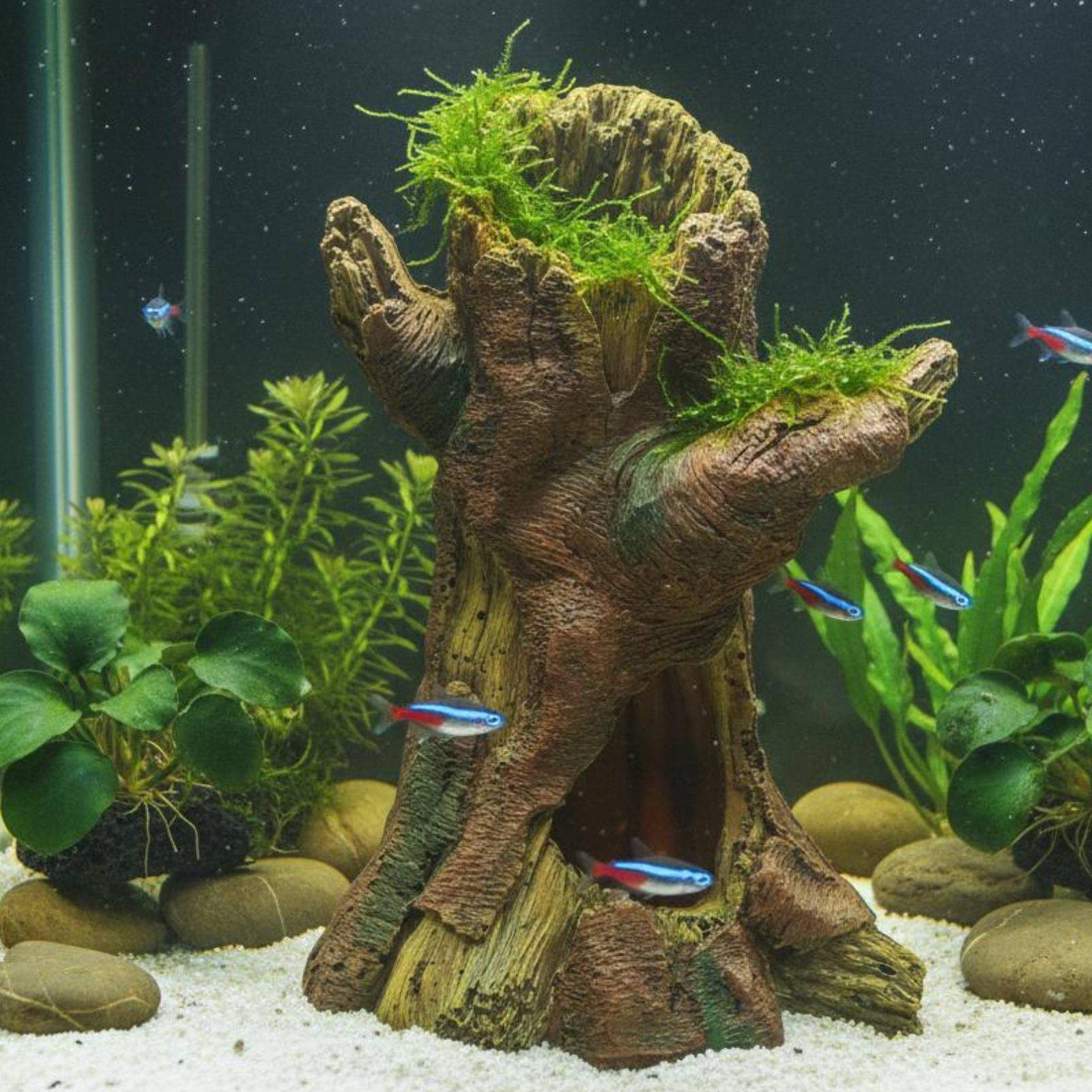 ديكور حوض السمك، زينة لتنسيق ا - مراجعة Aquarium Fish In وسعره