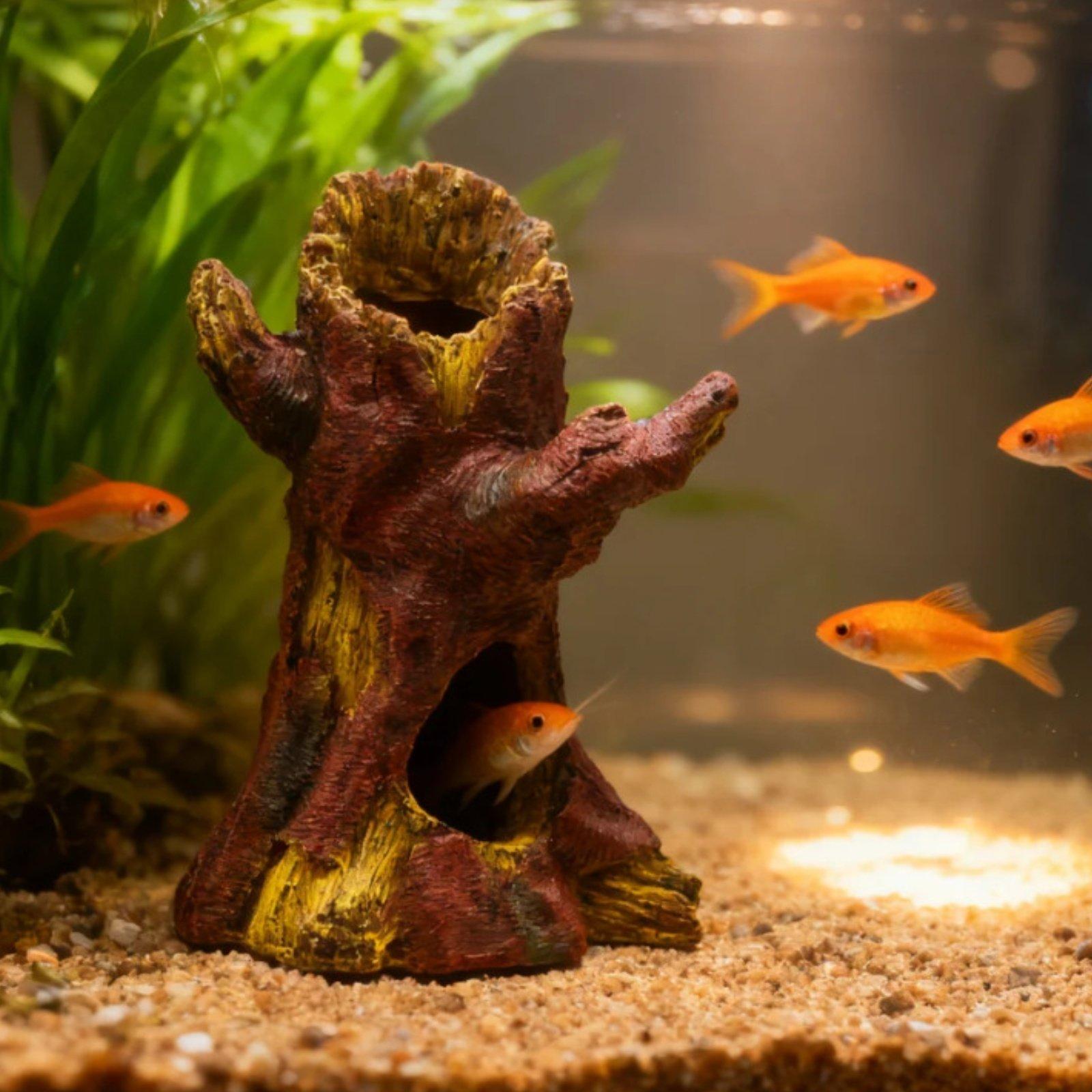 ديكور حوض السمك، زينة لتنسيق ا - مراجعة Aquarium Fish In وسعره