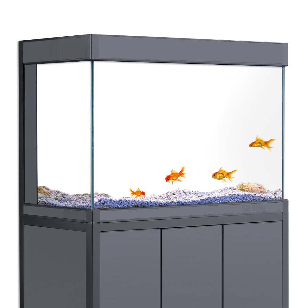 خلفية حوض السمك لاصقة ثابتة با - مراجعة Aquarium Fish Black وسعره