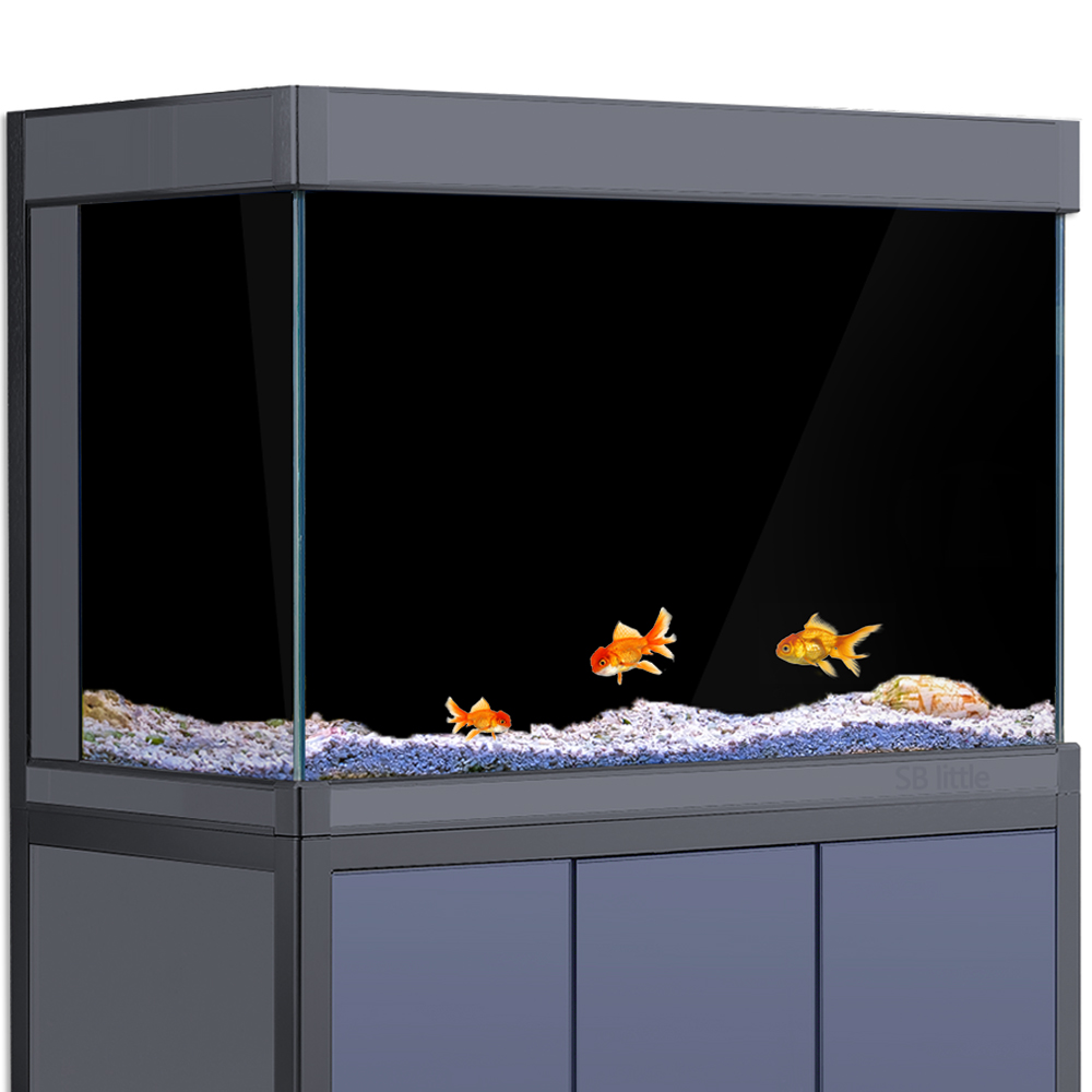 خلفية حوض السمك لاصقة ثابتة با - مراجعة Aquarium Fish Black وسعره