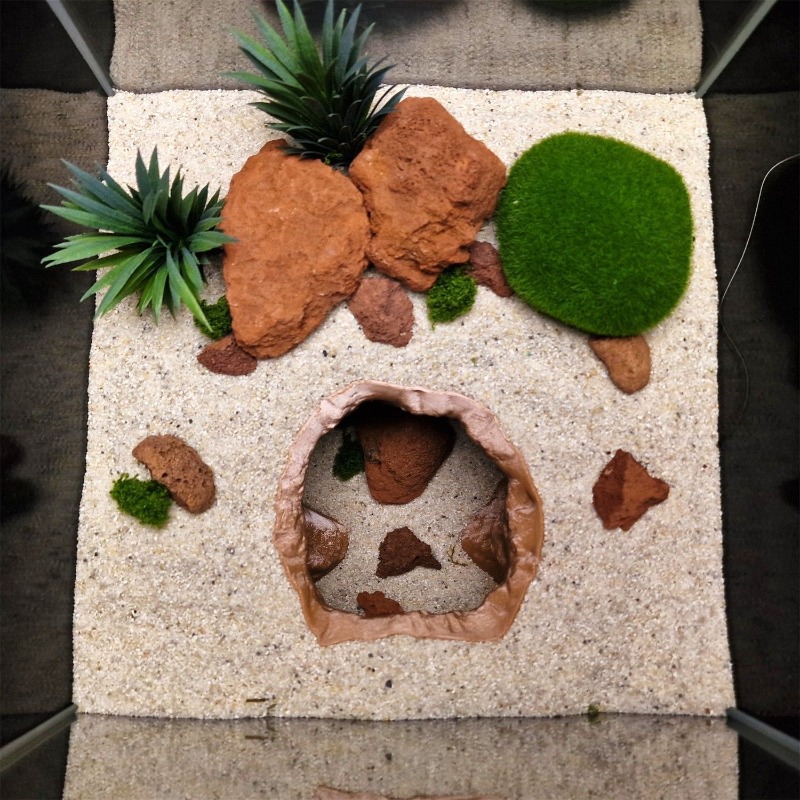 زخرفة حوض السمك على شكل كهف ثق - مراجعة Aquarium Fish Cave وسعره