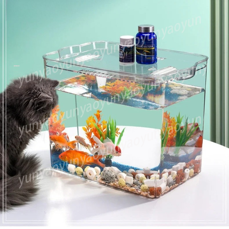 حوض أسماك ذاتي التنظيف مع استب - مراجعة Aquarium Fish Supplier وسعره