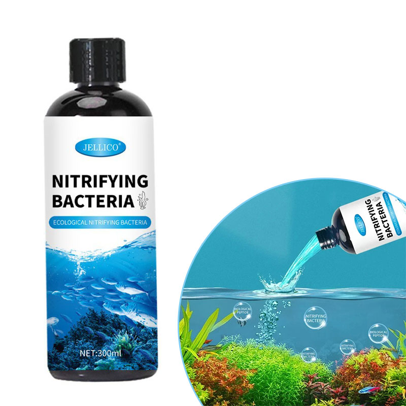 كمية البكتيريا السائلة خزان ال - مراجعة Aquarium Fish Farm وسعره