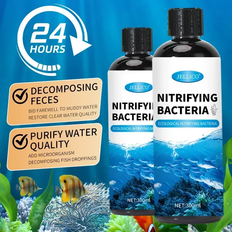 كمية البكتيريا السائلة خزان ال - مراجعة Aquarium Fish Farm وسعره