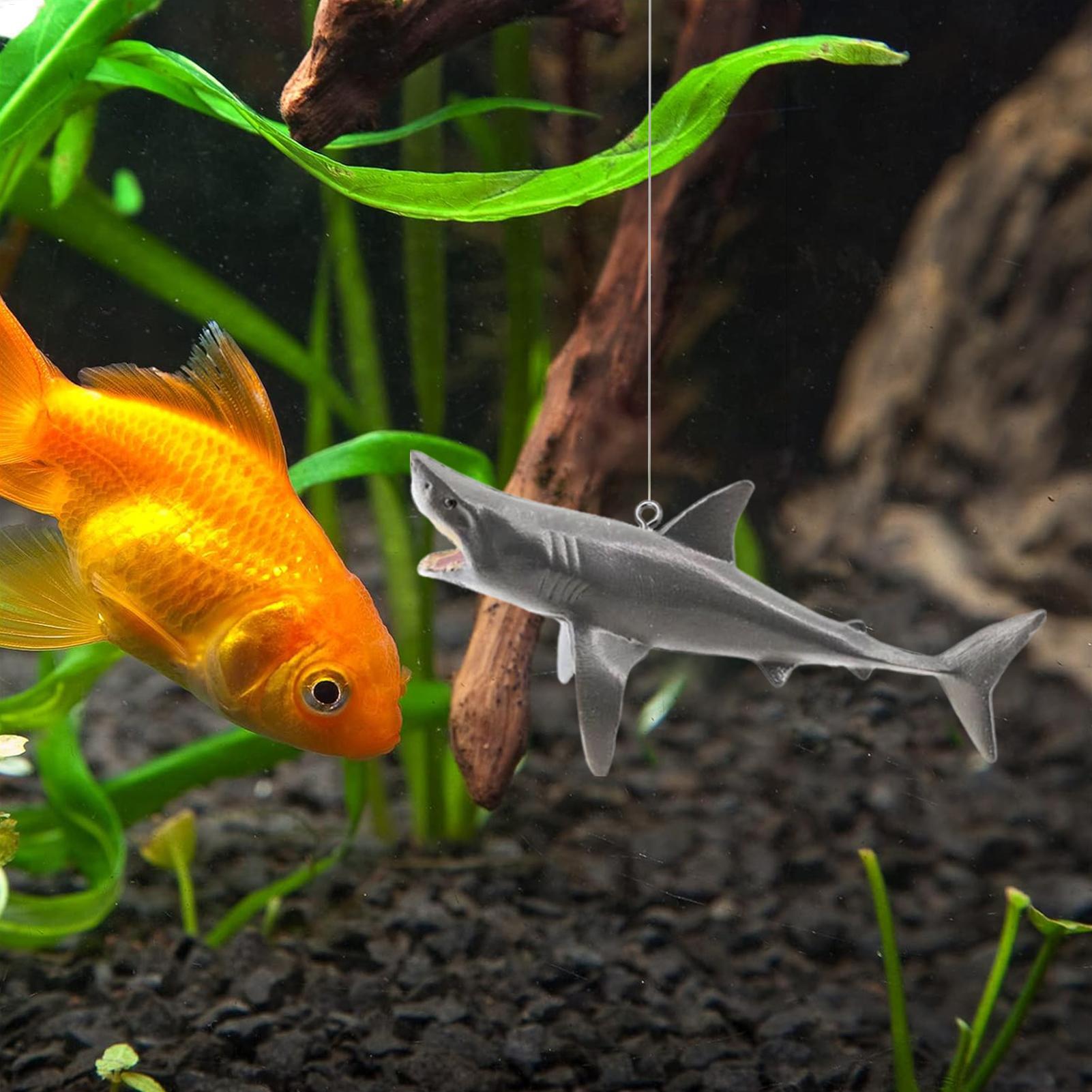 ديكور المناظر الطبيعية لحوض سم - مراجعة Aquarium Fish Games وسعره