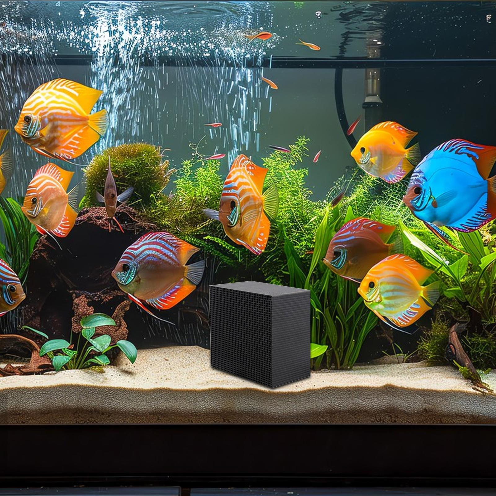 حوض السمك منقي مياه مكعب حوض ا - مراجعة Aquarium Fish Cave وسعره