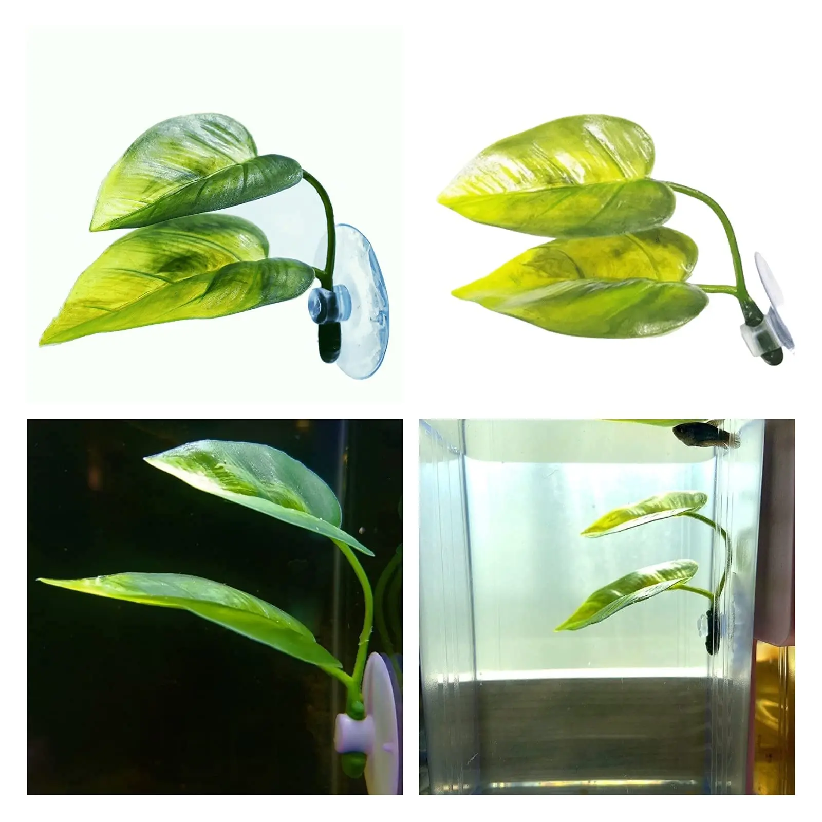 الحيوانات الأليفة خزان الأسماك - مراجعة Aquarium Fish Games وسعره