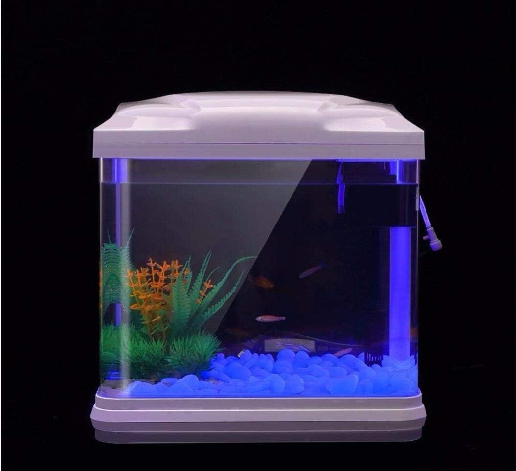 حوض السمك الصخور توهج الحصى ال - مراجعة Aquarium Fish Breeding وسعره