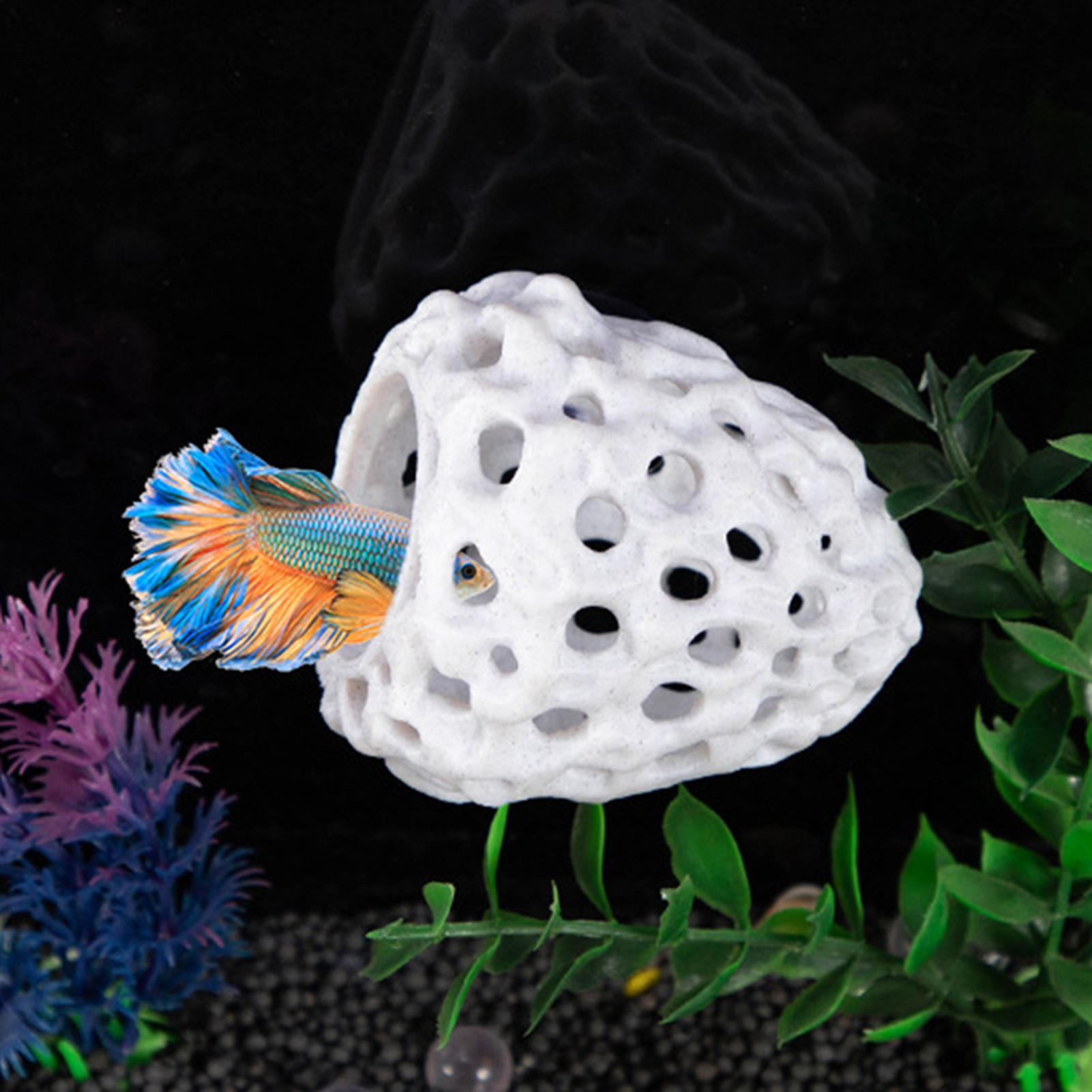 حوض السمك الروبيان منزل كهف صغ - مراجعة Aquarium Fish Games وسعره