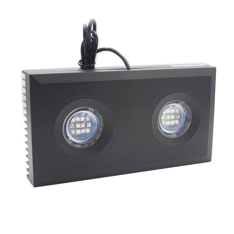 الصين المورد عكس الضوء 95W الط - مراجعة Aquarium Fish Supplier وسعره