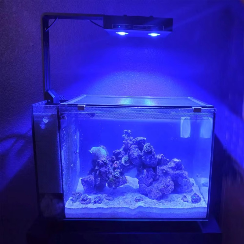 الصين المورد عكس الضوء 95W الط - مراجعة Aquarium Fish Supplier وسعره