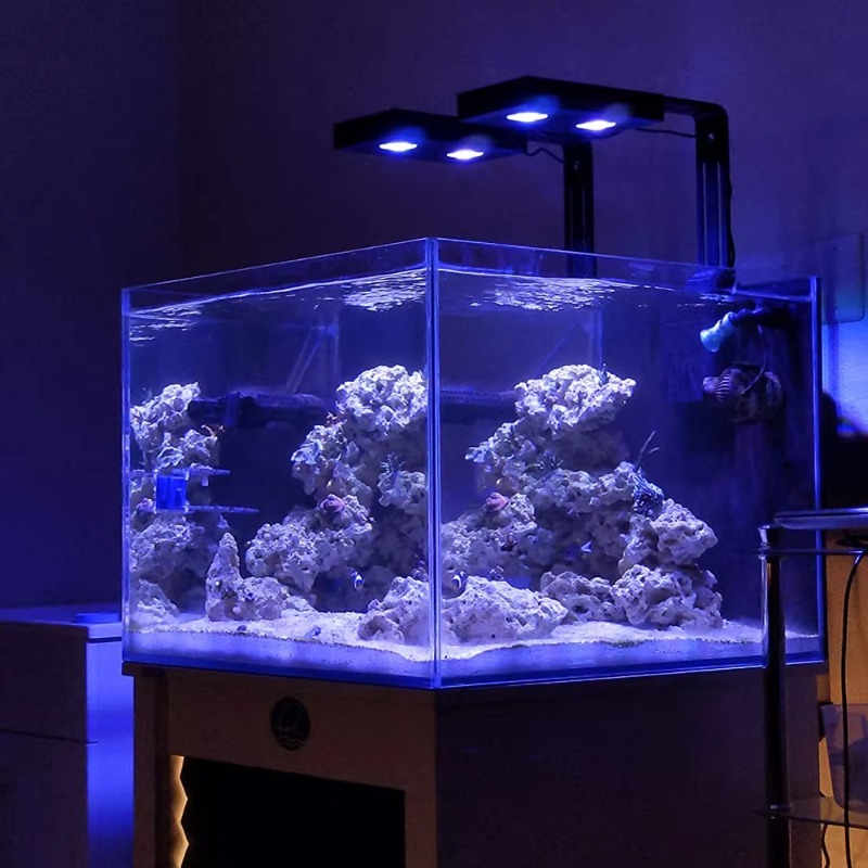 الصين المورد عكس الضوء 95W الط - مراجعة Aquarium Fish Supplier وسعره