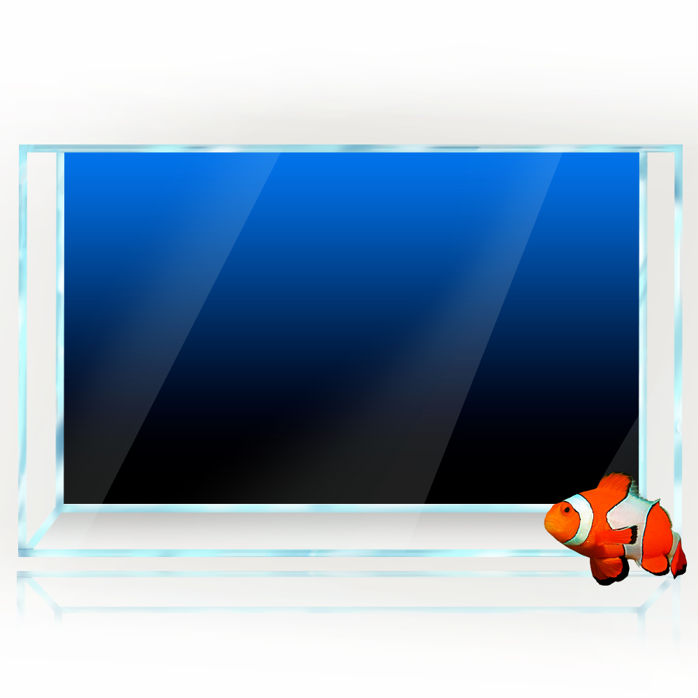 ملصق خلفية لخزان الأسماك أسود  - مراجعة Aquarium Fish Black وسعره