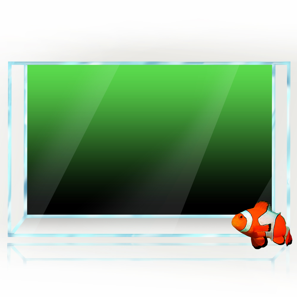 ملصق خلفية لخزان الأسماك أسود  - مراجعة Aquarium Fish Black وسعره