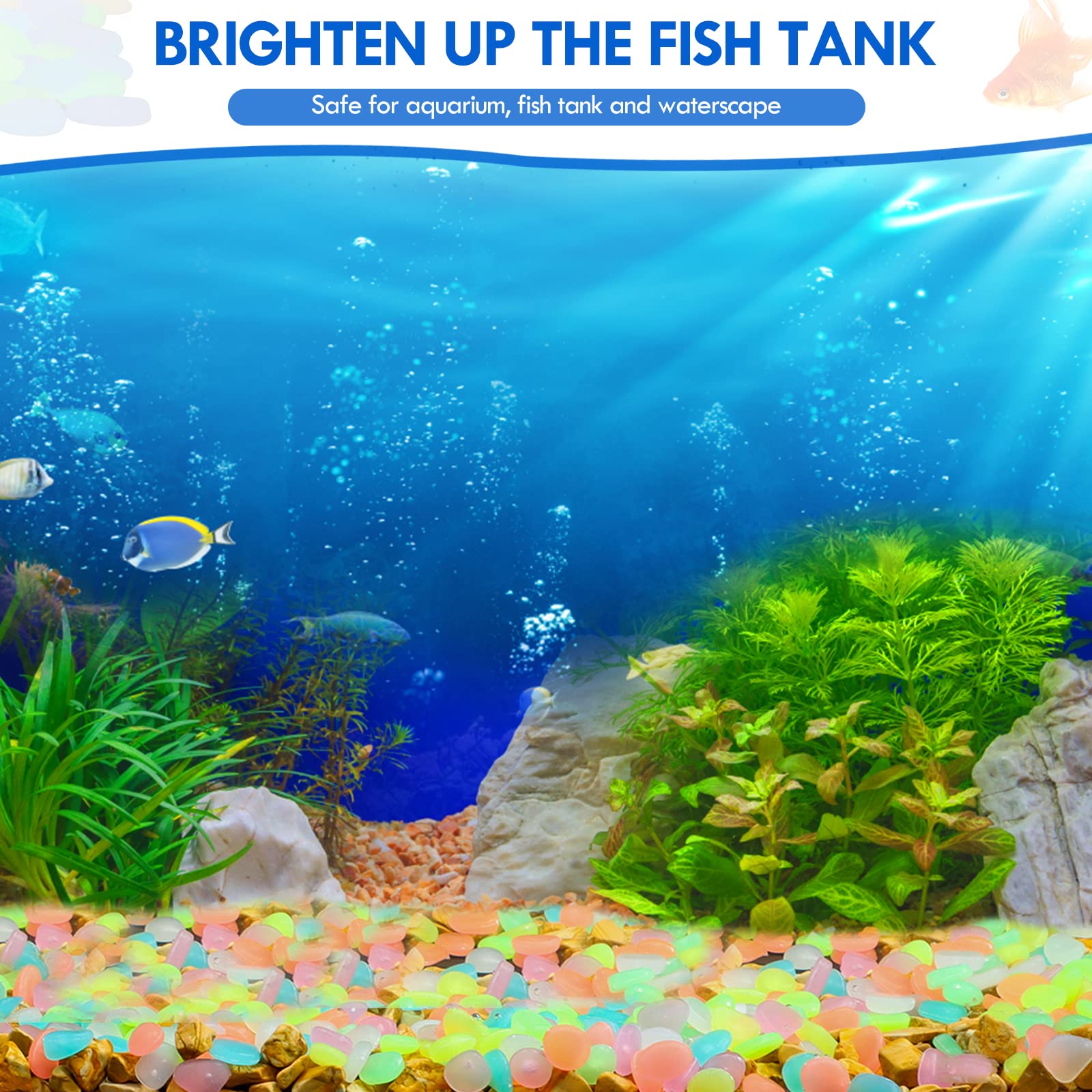 100 قطعة يتوهج في الظلام حديقة - مراجعة Aquarium Fish Breeding وسعره