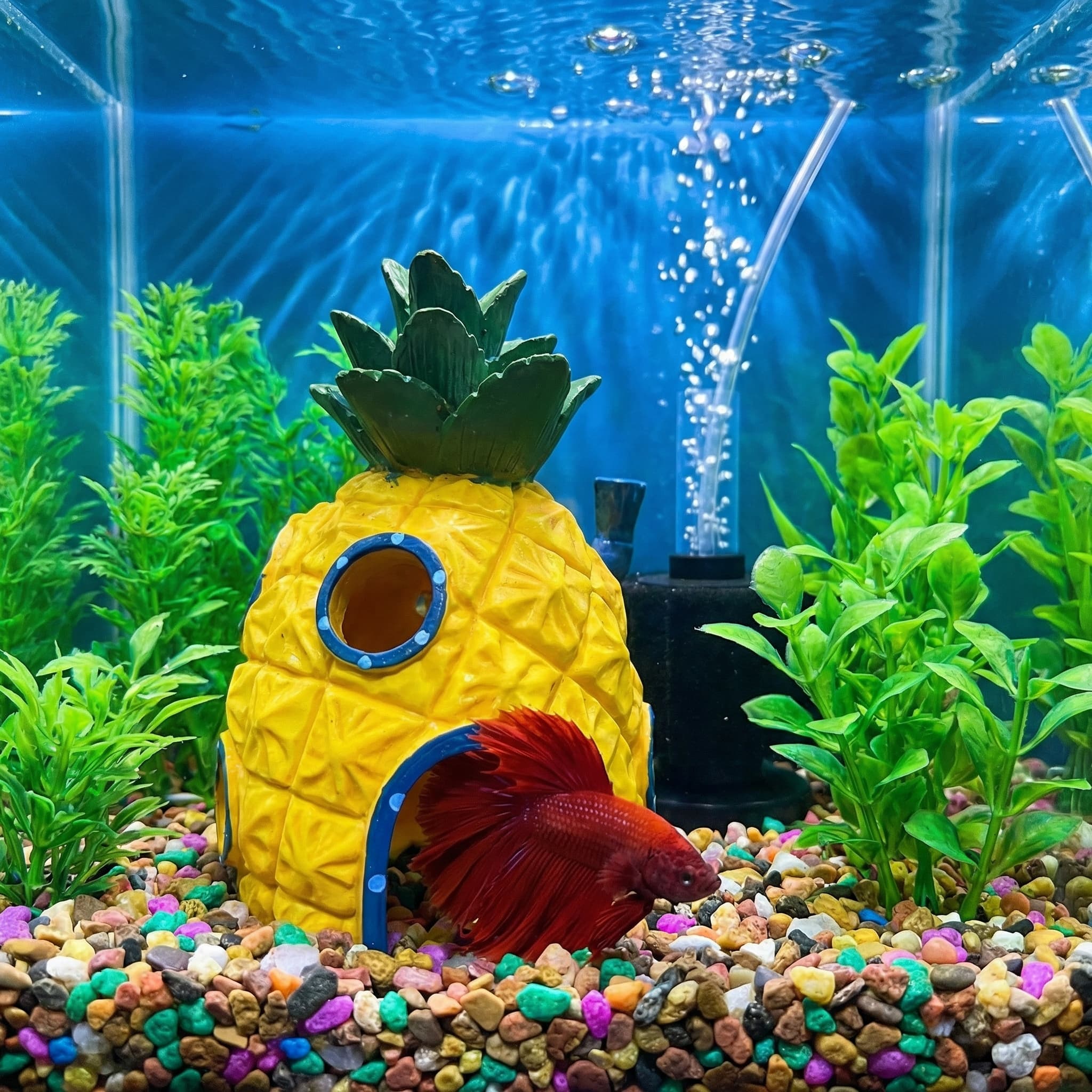 ديكور حوض السمك على شكل بيت ال - مراجعة Aquarium Fish Games وسعره