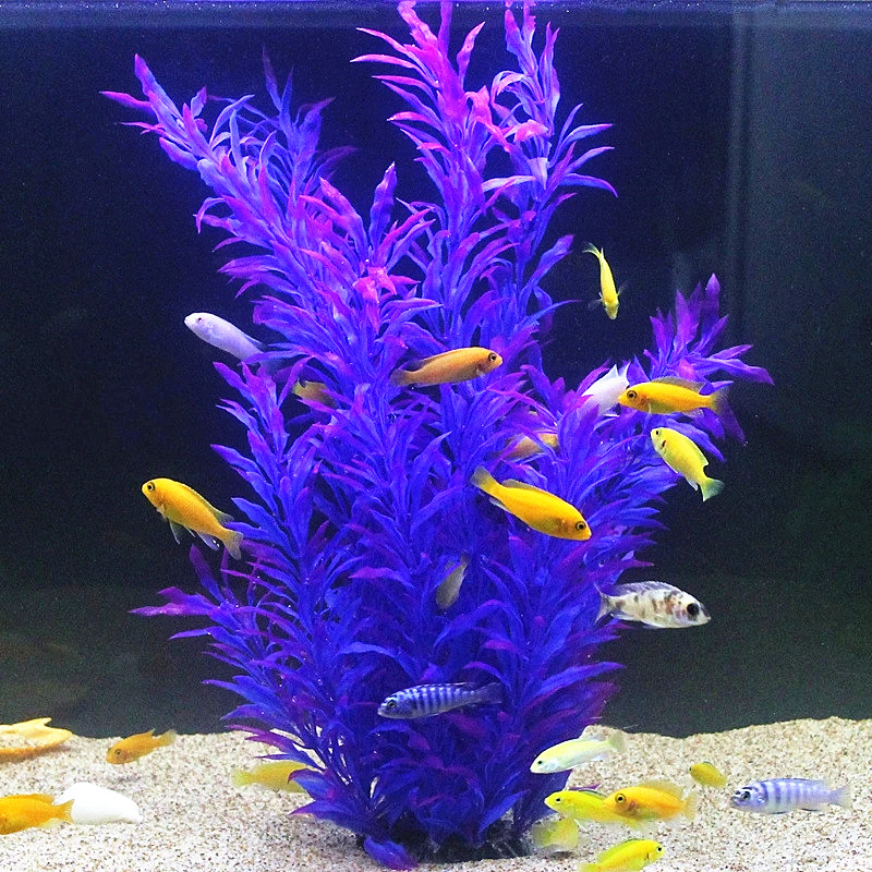 نباتات اصطناعية نادرة لأحواض ا - مراجعة Aquarium Fish Breeding وسعره