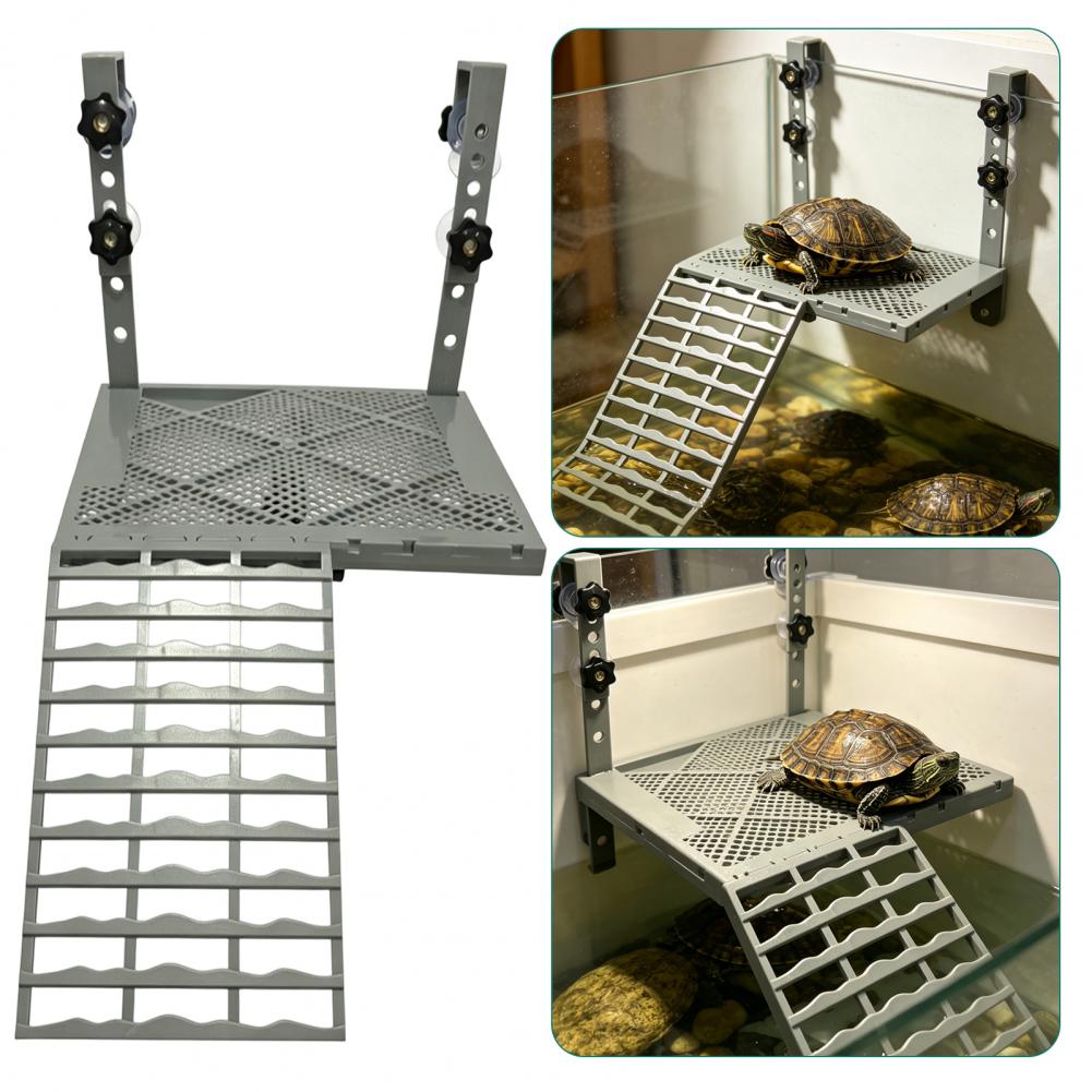 زينة حوض السمك: منصة شمسية معل - مراجعة Aquarium Fish Farm وسعره