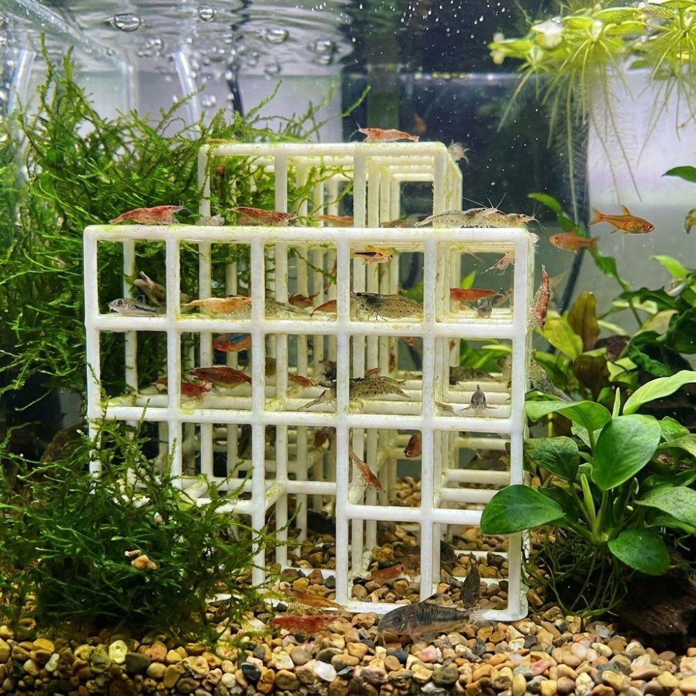 مخبأ للأسماك والروبيان مطبوع ب - مراجعة Aquarium Fish Games وسعره