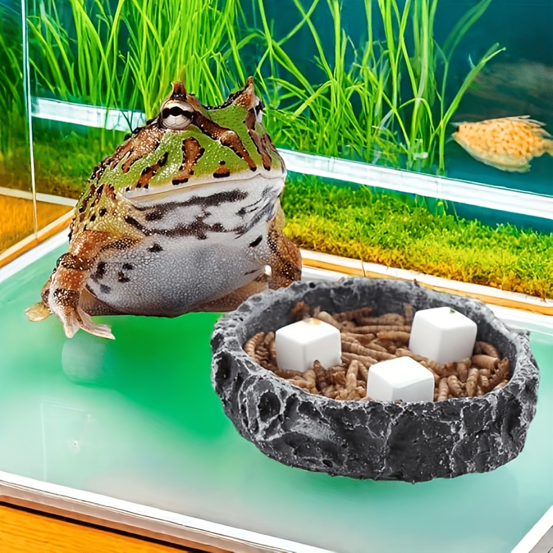 6 قطعة خزان الأسماك كتلة الكال - مراجعة Aquarium Fish Games وسعره